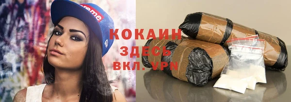 прущие грибы Абинск