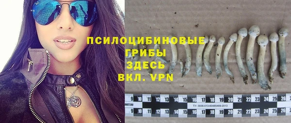 сатива Алексеевка
